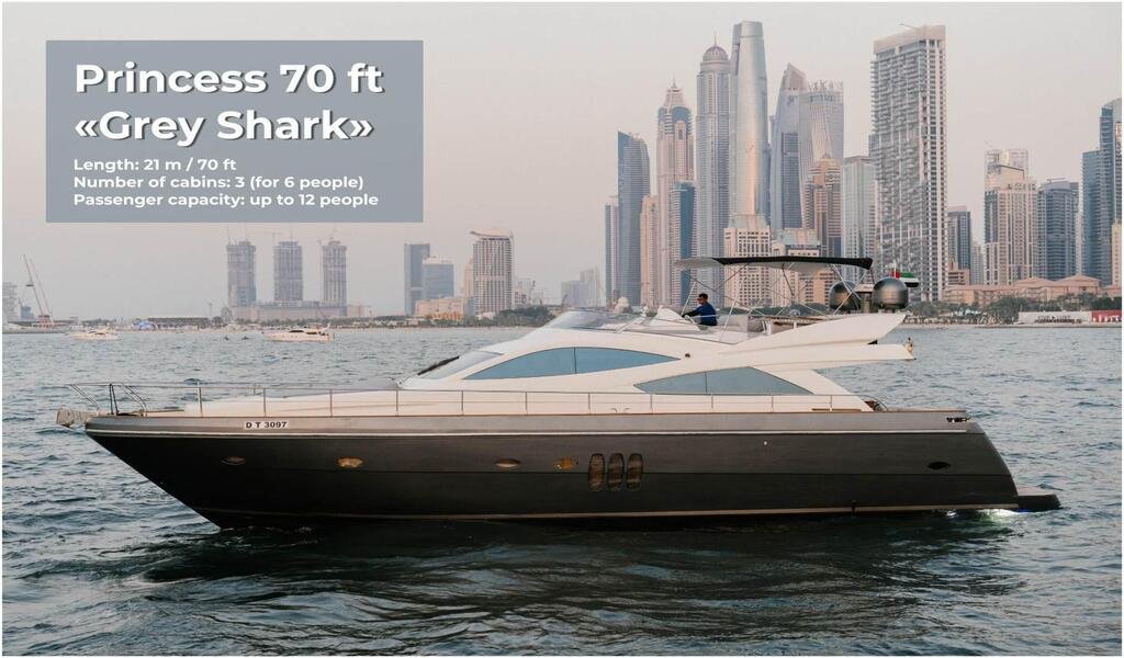 70ft Premium Princess image 1